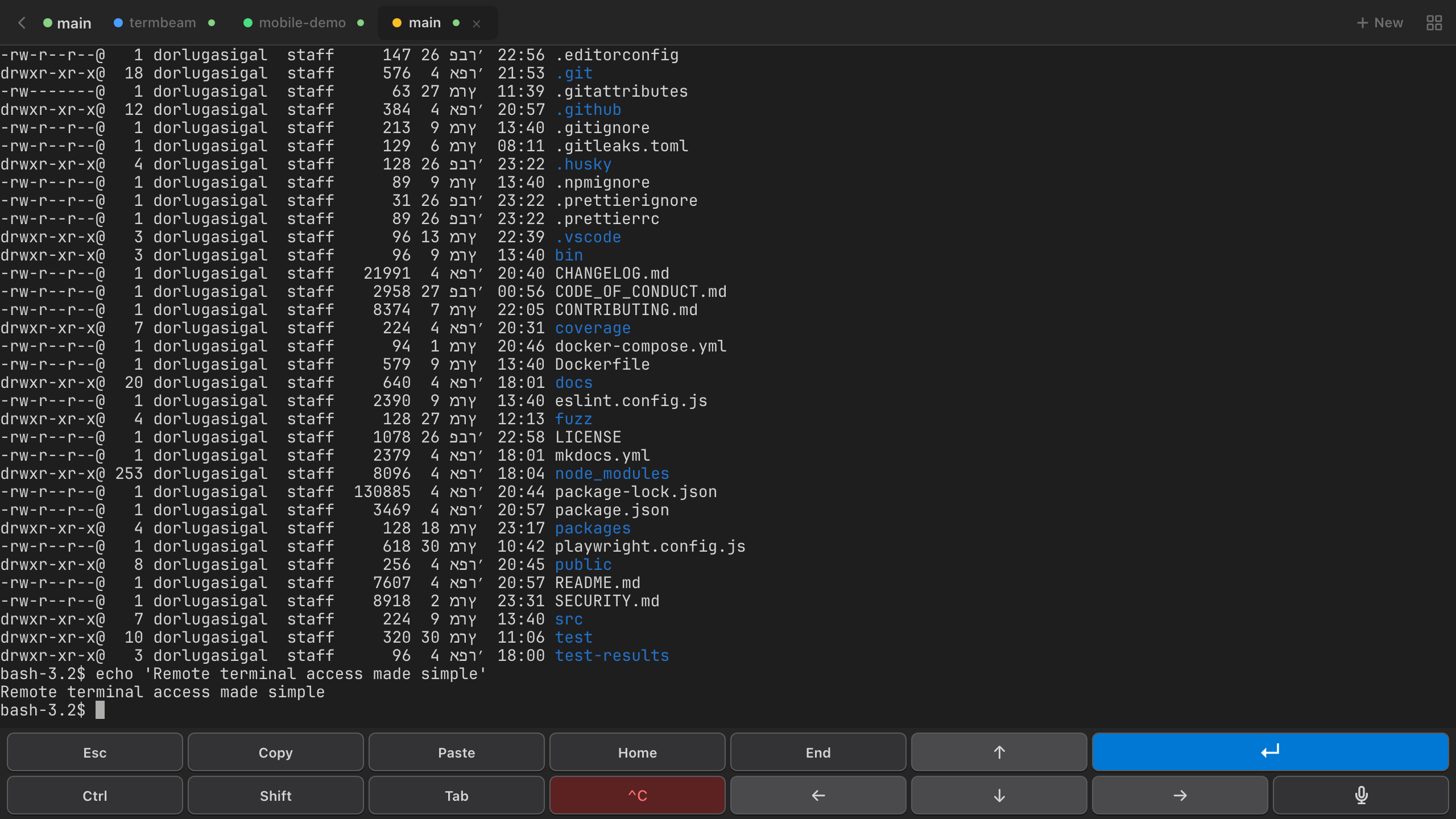 TermBeam desktop terminal